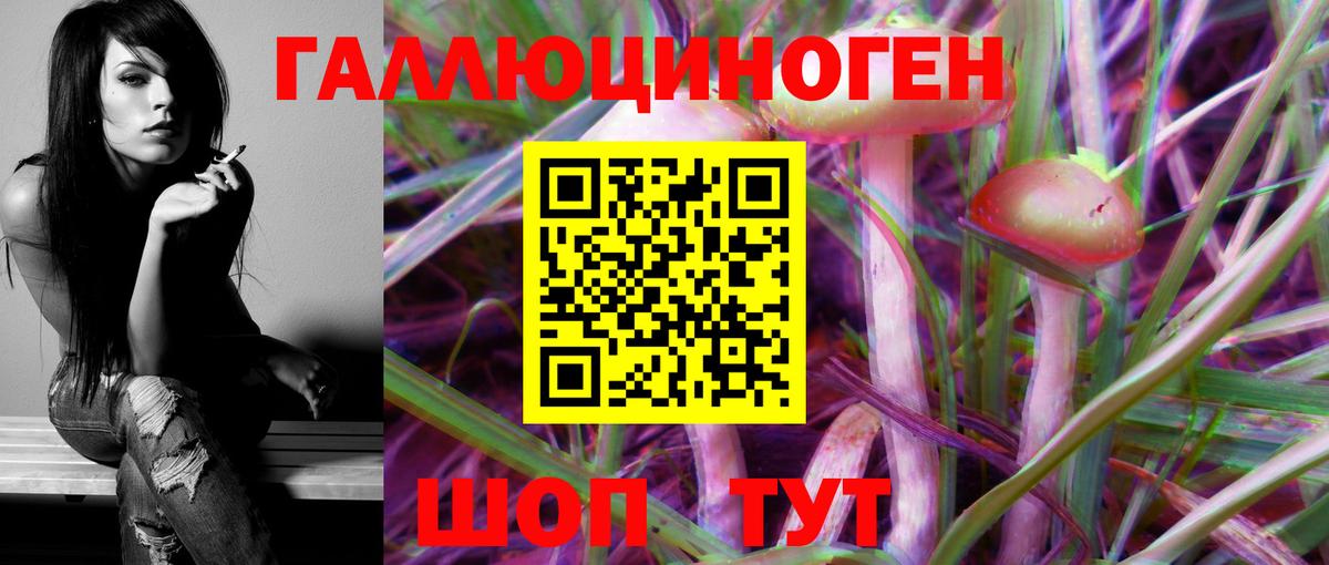 Галлюциногенные грибы Psilocybine cubensis  Вход с VPN  Зерноград 