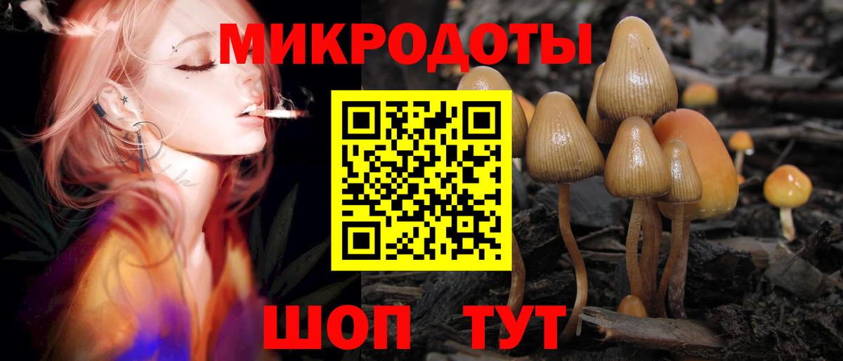Псилоцибиновые грибы Magic Shrooms Зерноград